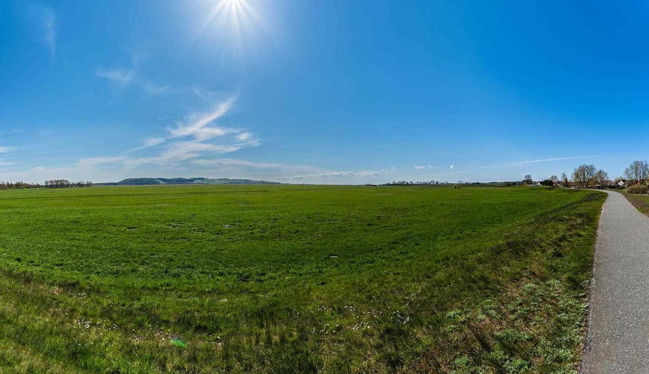Schoene Ferienwohnungen Am Lobber Deich Eksteriør bilde